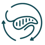 Clínica Abella Ribas - ATM y Bruxismo